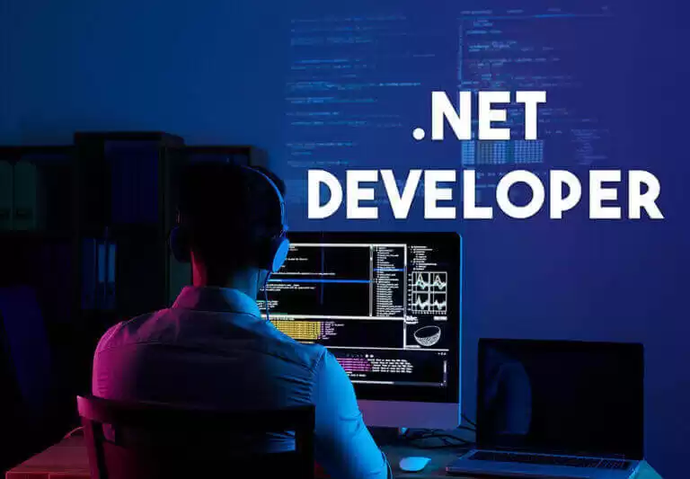 Best .Net Developer In India-Pixel-Values-Technolabs